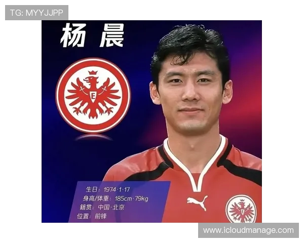 中国球员杨晨曾效力过的德甲球队数量及表现全记录