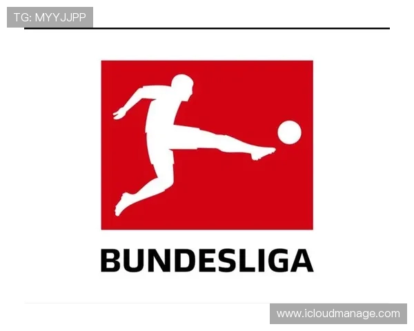 德甲足球球队名字的由来及其背后的文化解读