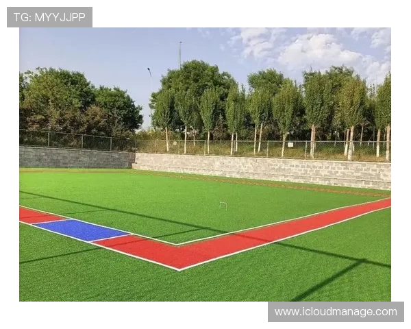 法甲马赛主场草坪维护的管理与球场环境