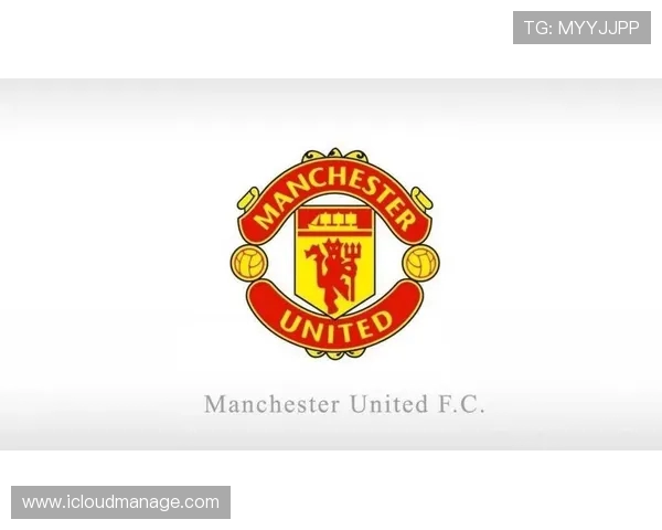 英超20支球队队徽：2023-2024赛季英超球队队徽解析