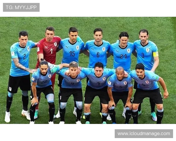 巴西足球队荣膺世界杯冠军次数统计及其历史影响